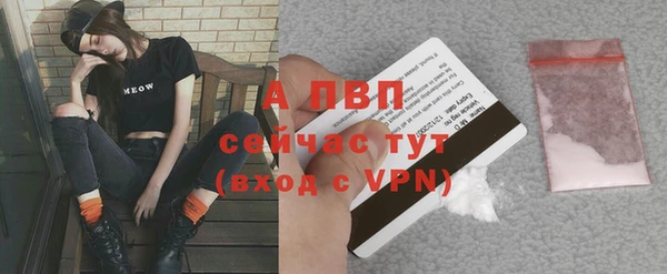 эйфоретик Пересвет