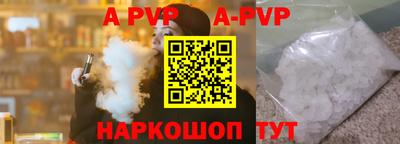 гашик Моздок