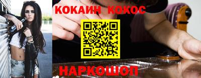гашик Моздок