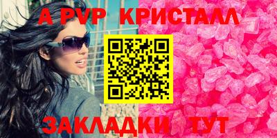 гашик Моздок