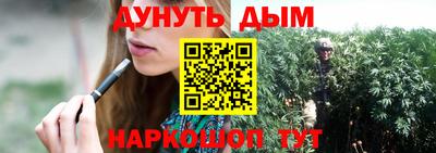 гашик Моздок