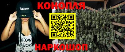 гидропоника Можга