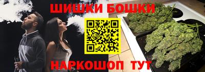 гашик Моздок