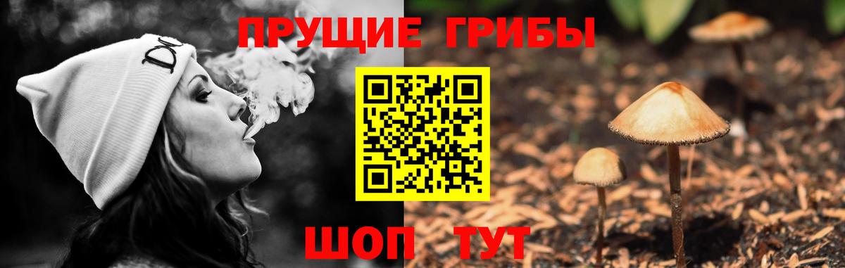 Туймазы  Псилоцибиновые грибы Magic Shrooms  Вход с VPN  Галлюциногенные грибы мицелий 