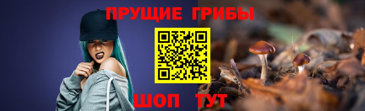 Галлюциногенные грибы Psilocybe Туймазы